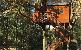 la cabane aux Zoiseaux
